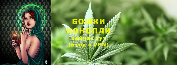 крисы Богородск