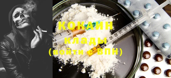 крисы Богородск
