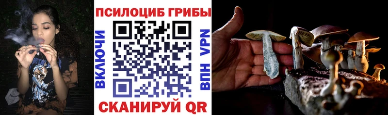 Псилоцибиновые грибы Magic Shrooms  Кольчугино 